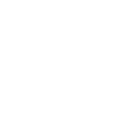 Investiva